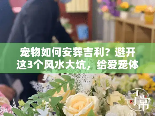 宠物如何安葬吉利？避开这3个风水大坑，给爱宠体面告别