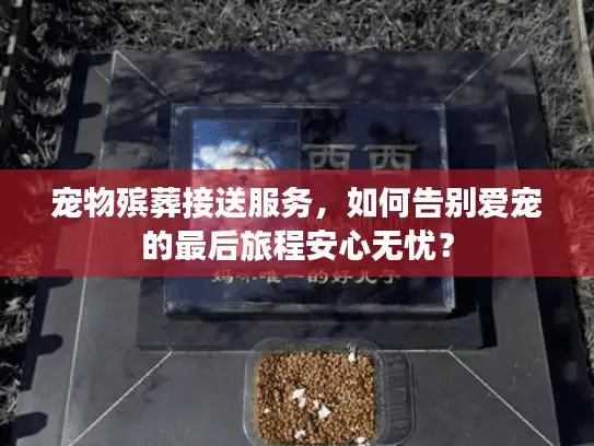 宠物殡葬接送服务，如何告别爱宠的最后旅程安心无忧？