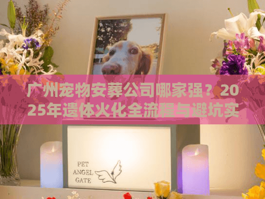 广州宠物安葬公司哪家强？2025年遗体火化全流程与避坑实战