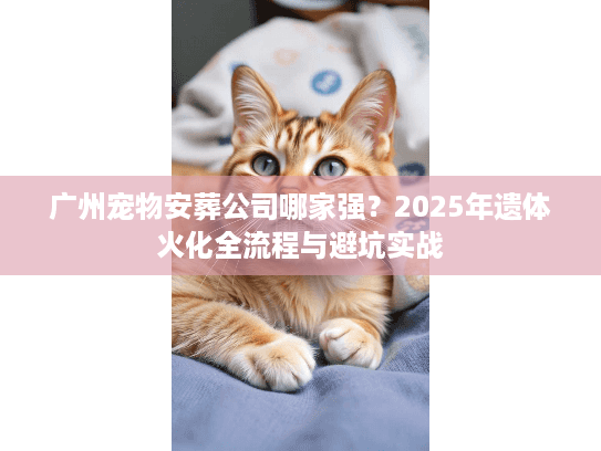 广州宠物安葬公司哪家强？2025年遗体火化全流程与避坑实战