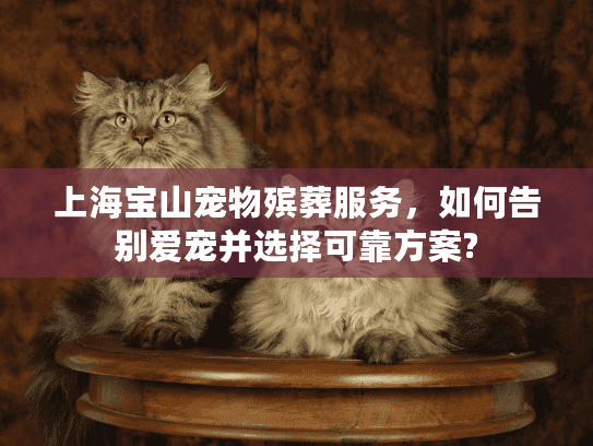 上海宝山宠物殡葬服务,如何告别爱宠并选择可靠方案? 上海宝山宠物殡葬服务,如何告别爱宠并选择可靠方案?