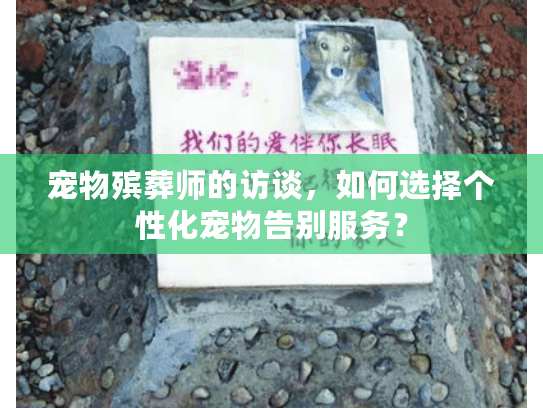 宠物殡葬师的访谈，如何选择个性化宠物告别服务？