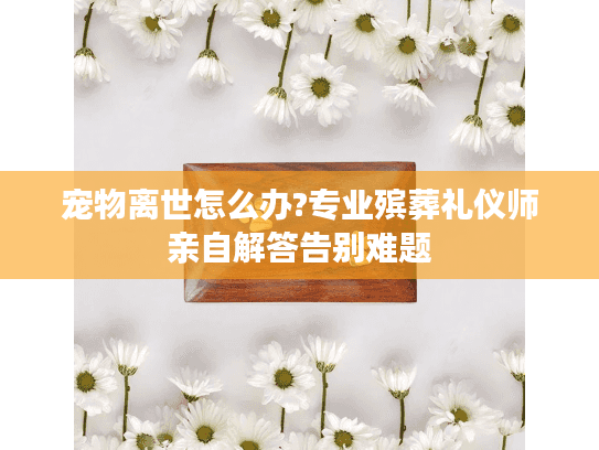 宠物离世怎么办?专业殡葬礼仪师亲自解答告别难题