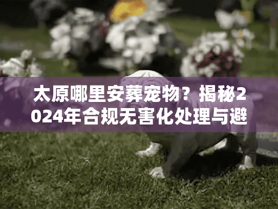 太原哪里安葬宠物？揭秘2024年合规无害化处理与避坑内幕
