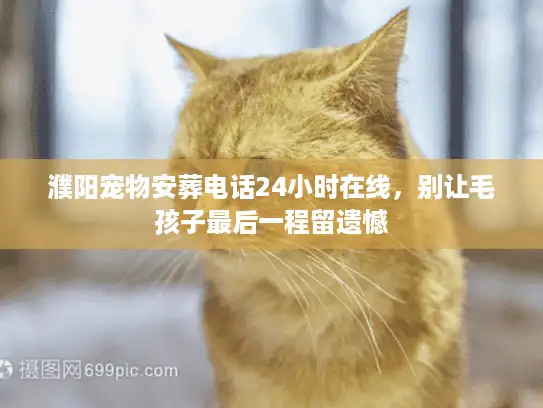 濮阳宠物安葬电话24小时在线，别让毛孩子最后一程留遗憾