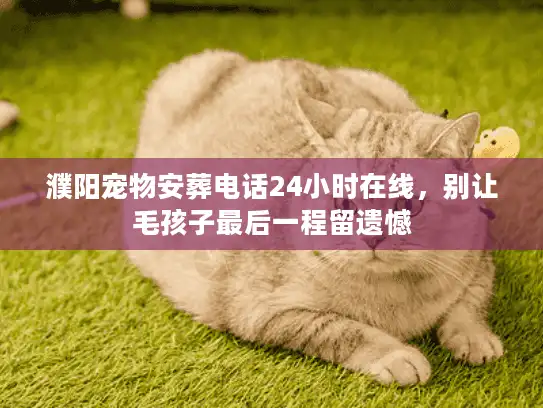 濮阳宠物安葬电话24小时在线，别让毛孩子最后一程留遗憾