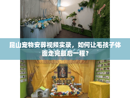 昆山宠物安葬视频实录，如何让毛孩子体面走完最后一程？