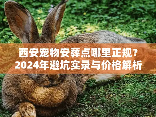 西安宠物安葬点哪里正规？2024年避坑实录与价格解析