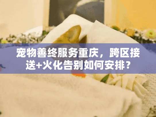 宠物善终服务重庆，跨区接送+火化告别如何安排？