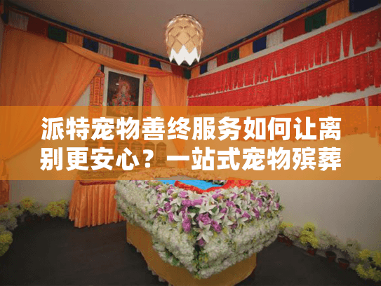 派特宠物善终服务如何让离别更安心？一站式宠物殡葬指南