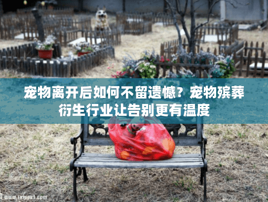 宠物离开后如何不留遗憾？宠物殡葬衍生行业让告别更有温度
