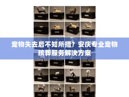 宠物失去后不知所措？安庆专业宠物殡葬服务解决方案