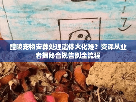 醴陵宠物安葬处理遗体火化难？资深从业者揭秘合规告别全流程