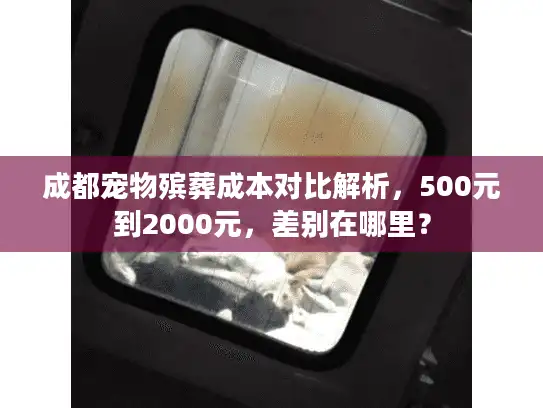 成都宠物殡葬成本对比解析，500元到2000元，差别在哪里？