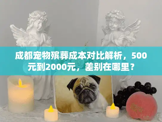 成都宠物殡葬成本对比解析，500元到2000元，差别在哪里？