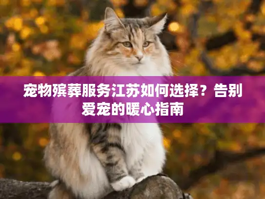 宠物殡葬服务江苏如何选择?告别爱宠的暖心指南 宠物殡葬服务江苏如何选择?告别爱宠的暖心指南