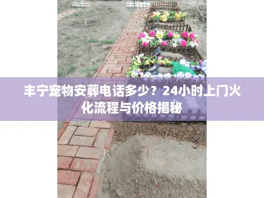 丰宁宠物安葬电话多少?24小时上门火化流程与价格揭秘 丰宁宠物安葬电话多少?24小时上门火化流程与价格揭秘