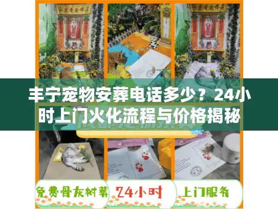 丰宁宠物安葬电话多少?24小时上门火化流程与价格揭秘 丰宁宠物安葬电话多少?24小时上门火化流程与价格揭秘