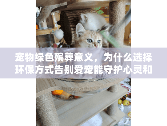 宠物绿色殡葬意义，为什么选择环保方式告别爱宠能守护心灵和地球？