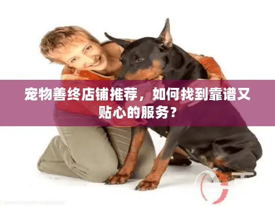 宠物善终店铺推荐，如何找到靠谱又贴心的服务？