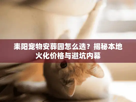 耒阳宠物安葬园怎么选?揭秘本地火化价格与避坑内幕 耒阳宠物安葬园怎么选?揭秘本地火化价格与避坑内幕