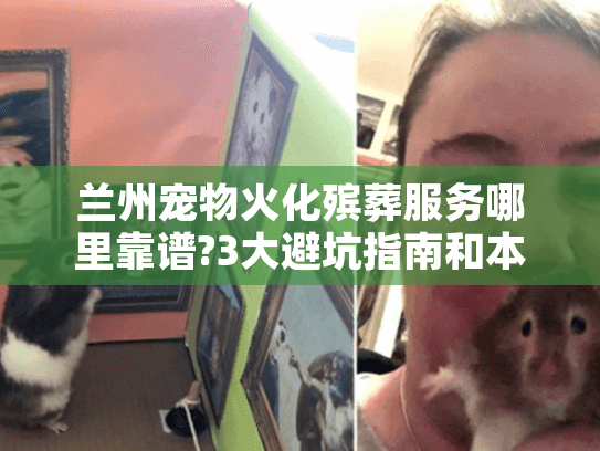 兰州宠物火化殡葬服务哪里靠谱?3大避坑指南和本地优选推荐 兰州宠物火化殡葬服务哪里靠谱?3大避坑指南和本地优选推荐