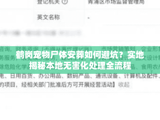 鹤岗宠物尸体安葬如何避坑？实地揭秘本地无害化处理全流程