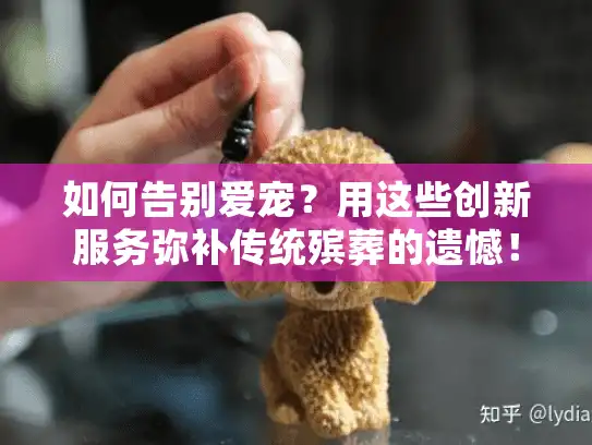 如何告别爱宠?用这些创新服务弥补传统殡葬的遗憾! 如何告别爱宠?用这些创新服务弥补传统殡葬的遗憾!