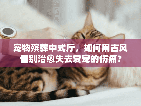 宠物殡葬中式厅，如何用古风告别治愈失去爱宠的伤痛？