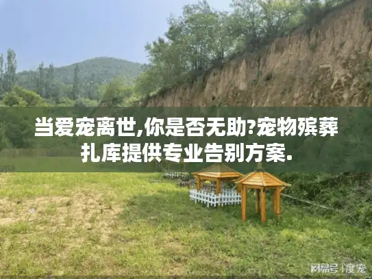 当爱宠离世,你是否无助?宠物殡葬扎库提供专业告别方案.