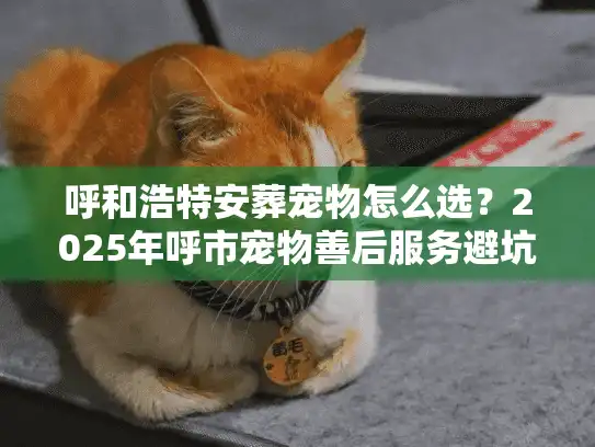 呼和浩特安葬宠物怎么选？2025年呼市宠物善后服务避坑与评测