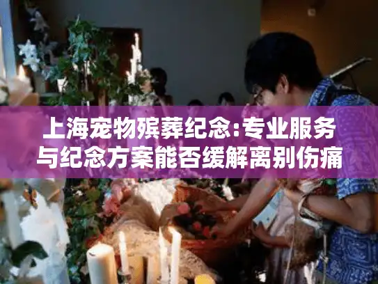 上海宠物殡葬纪念:专业服务与纪念方案能否缓解离别伤痛？
