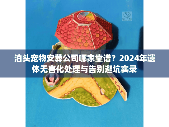 泊头宠物安葬公司哪家靠谱？2024年遗体无害化处理与告别避坑实录