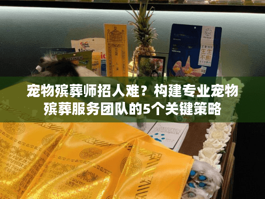 宠物殡葬师招人难？构建专业宠物殡葬服务团队的5个关键策略