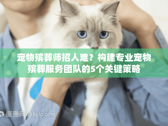 宠物殡葬师招人难？构建专业宠物殡葬服务团队的5个关键策略