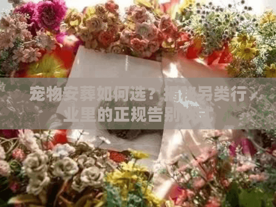 宠物安葬如何选？揭秘另类行业里的正规告别仪式