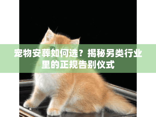 宠物安葬如何选？揭秘另类行业里的正规告别仪式