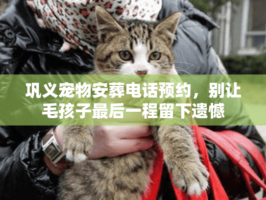 巩义宠物安葬电话预约,别让毛孩子最后一程留下遗憾 巩义宠物安葬电话预约,别让毛孩子最后一程留下遗憾