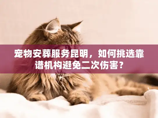 宠物安葬服务昆明，如何挑选靠谱机构避免二次伤害？