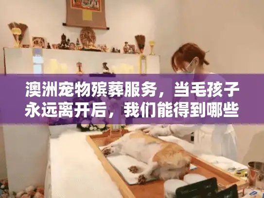 澳洲宠物殡葬服务,当毛孩子永远离开后,我们能得到哪些专业帮助? 澳洲宠物殡葬服务,当毛孩子永远离开后,我们能得到哪些专业帮助?