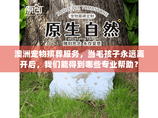 澳洲宠物殡葬服务,当毛孩子永远离开后,我们能得到哪些专业帮助? 澳洲宠物殡葬服务,当毛孩子永远离开后,我们能得到哪些专业帮助?