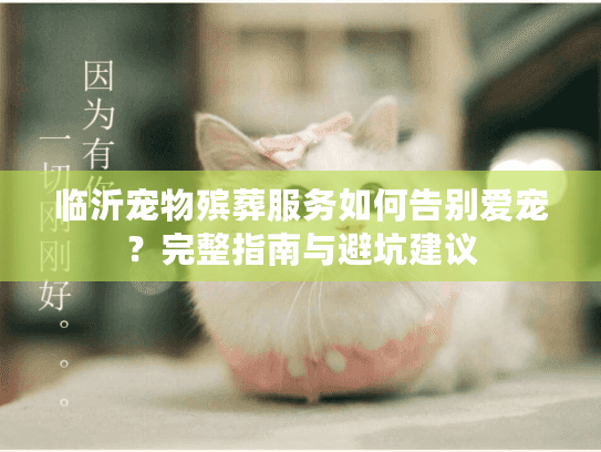 临沂宠物殡葬服务如何告别爱宠?完整指南与避坑建议 临沂宠物殡葬服务如何告别爱宠?完整指南与避坑建议