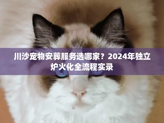 川沙宠物安葬服务选哪家？2024年独立炉火化全流程实录