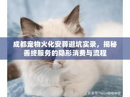 成都宠物火化安葬避坑实录，揭秘善终服务的隐形消费与流程