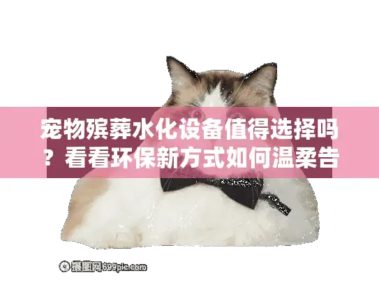 宠物殡葬水化设备值得选择吗？看看环保新方式如何温柔告别