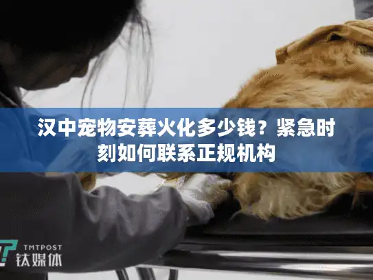 汉中宠物安葬火化多少钱？紧急时刻如何联系正规机构