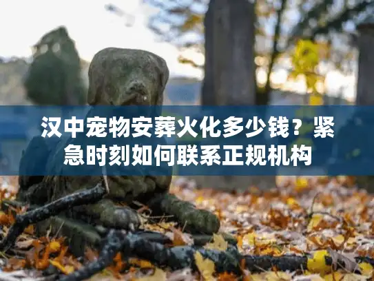 汉中宠物安葬火化多少钱？紧急时刻如何联系正规机构