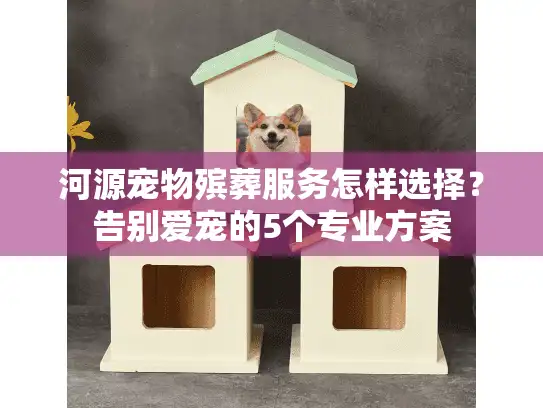 河源宠物殡葬服务怎样选择？告别爱宠的5个专业方案