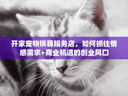 开家宠物殡葬服务店，如何抓住情感需求+商业机遇的创业风口