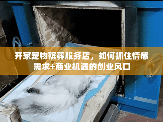 开家宠物殡葬服务店，如何抓住情感需求+商业机遇的创业风口